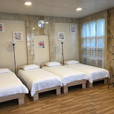 Aleksandr Appart hôtel VNO